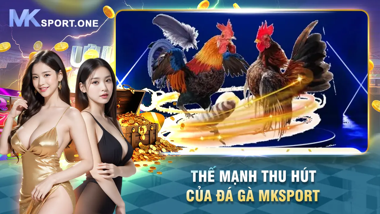 Thế mạnh thu hút của đá gà mksports