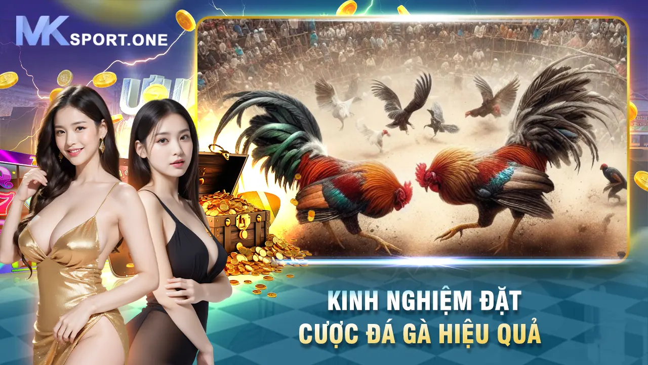 Kinh nghiệm đặt cược đá gà hiệu quả