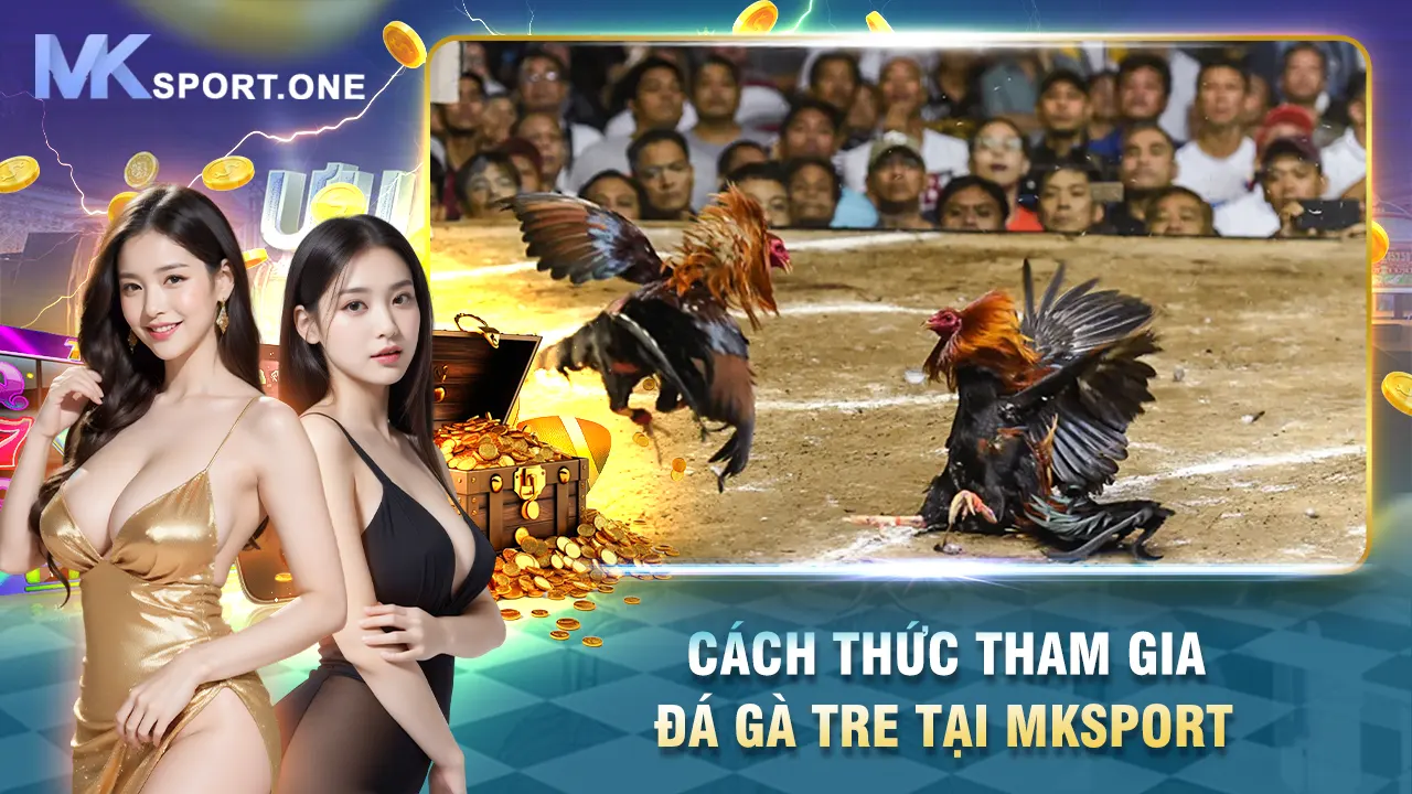 Cách thức tham gia đá gà tre tại mksport